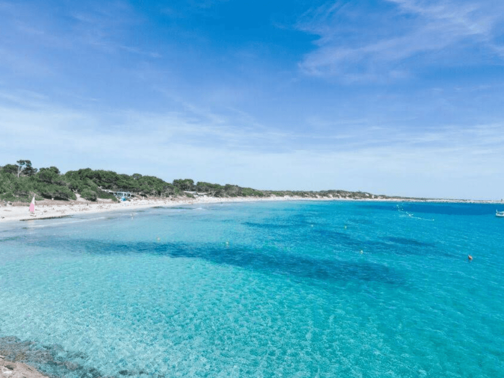 Ses Salines Beach