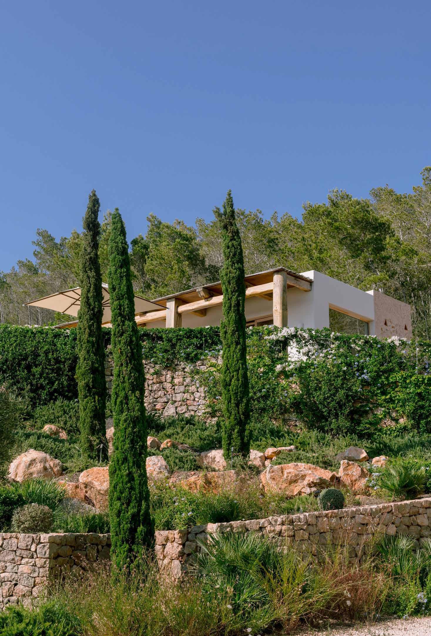 Villa Lirio — photo 11