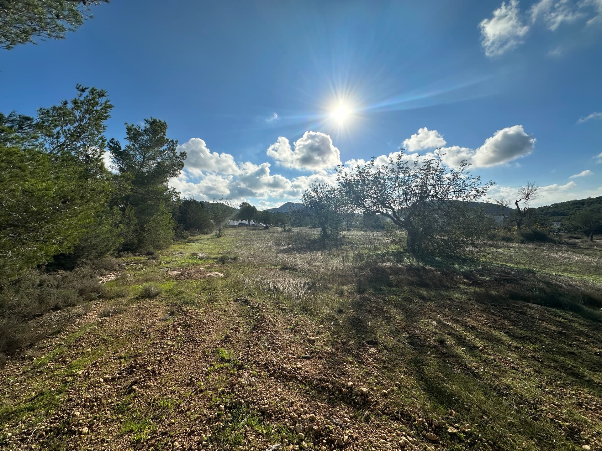 TERRENO RUSTICO EN SAN JOSE PUEBLO, Sant José, Ibiza — Terreno, Sant Josep · Sant Josep de sa Talaia, Ibiza