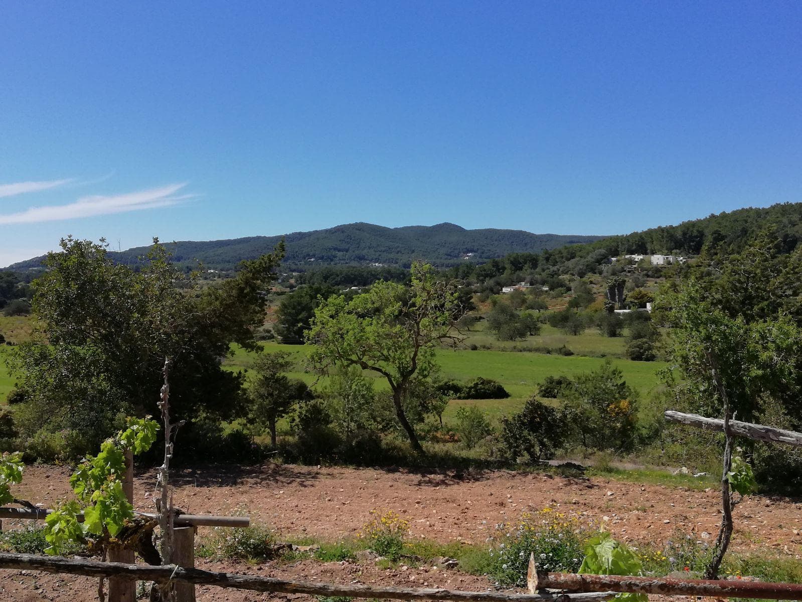 Alquiler durante el curso escolar | Santa Gertrudis | 8 min de Morna International College | 3 dormitorios | Piscina privada | Septiembre–junio en Santa Gertrudis, Ibiza